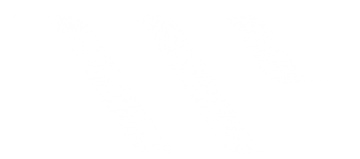 TXCIVIL